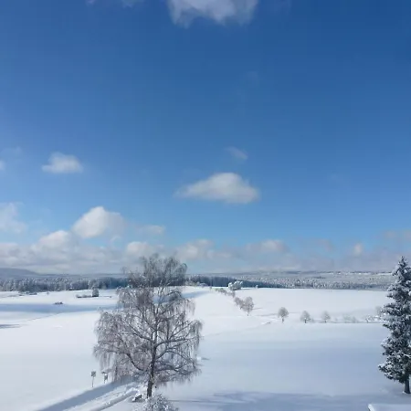 Hochfirst By Interhome Apartment Dittishausen