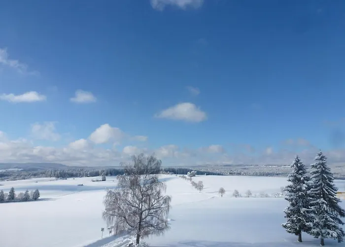 Hochfirst-2 By Interhome Apartament Dittishausen